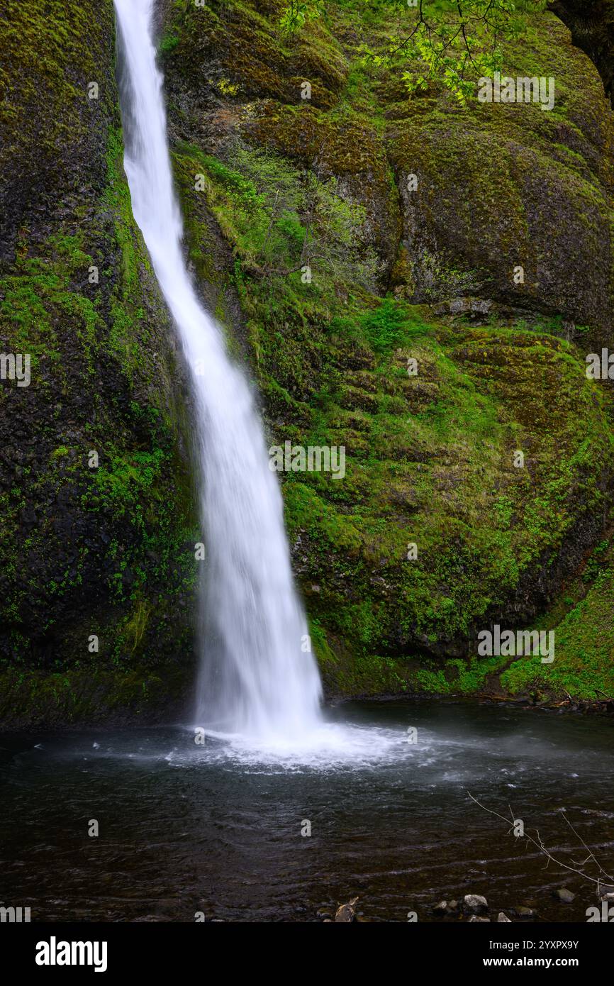L'Horsetail cade immergendosi nella piscina della Columbia Gorge, Oregon Foto Stock