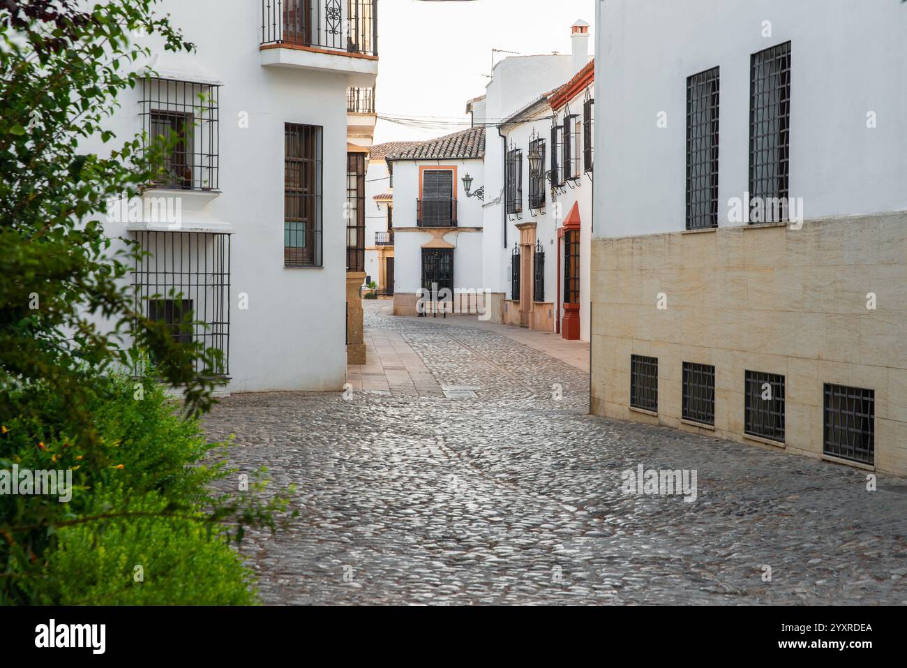 Strada tipica della città di Ronda, Málaga, Andalusia, Spagna. Foto Stock