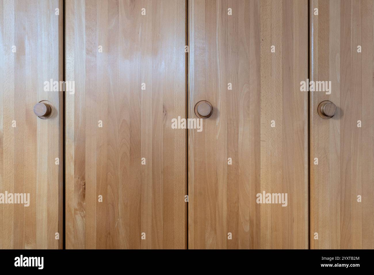 porte chiuse di un armadio in legno Foto Stock