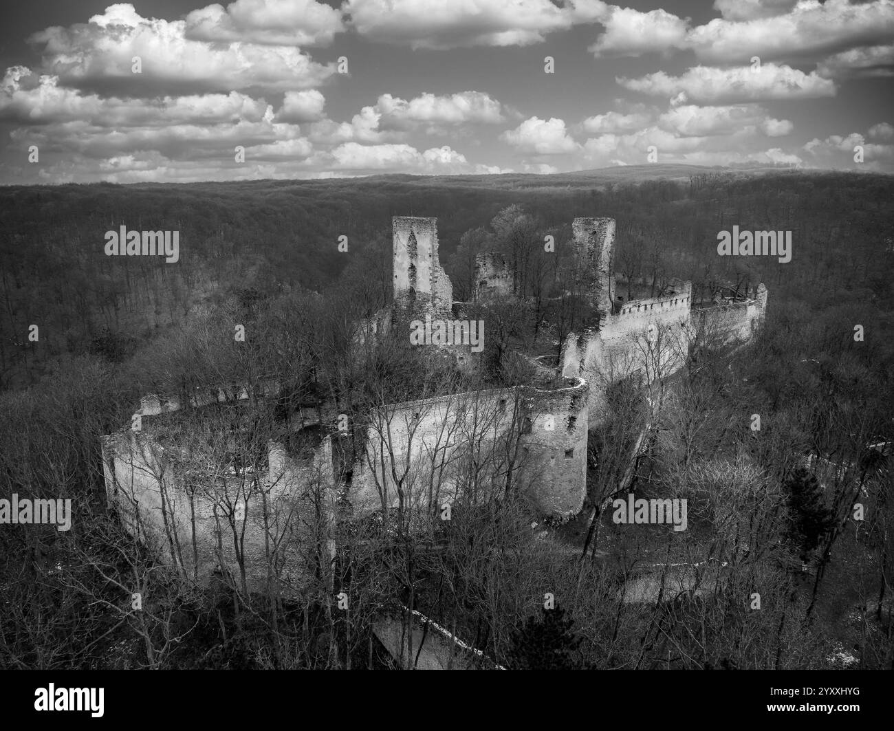 Vista aerea del castello di Dobra Voda in Slovacchia con due torri quadrate e un ampio cortile sulla cima di una collina Foto Stock