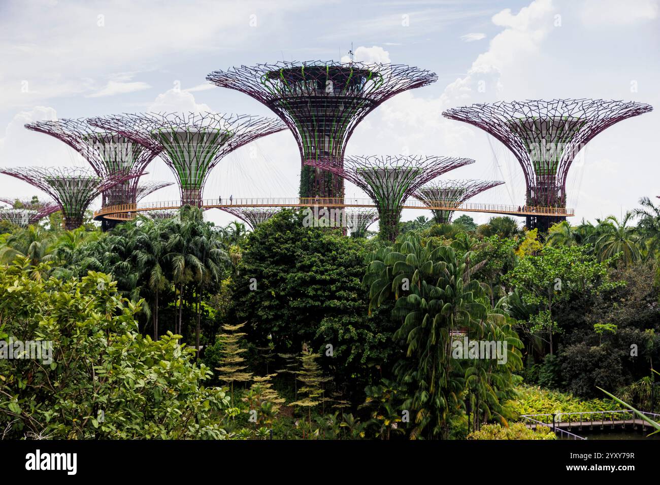 Skywalk Experience e Supertree Observatory, Gardens by the Bay, Singapore. Foto: David Rowland / One-Image.com Foto Stock