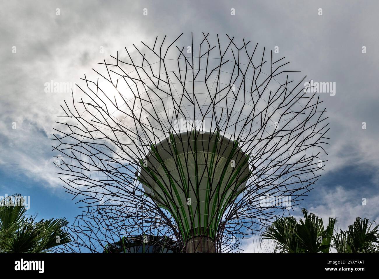 Supertree Observatory, Gardens by the Bay, Singapore. Foto: David Rowland / One-Image.com Foto Stock