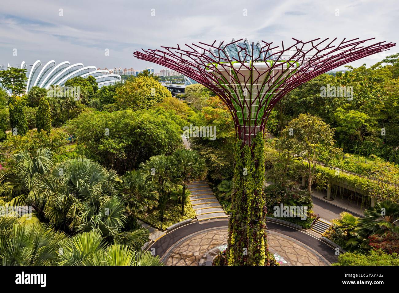 Supertree Observatory, Gardens by the Bay, Singapore. Foto: David Rowland / One-Image.com Foto Stock