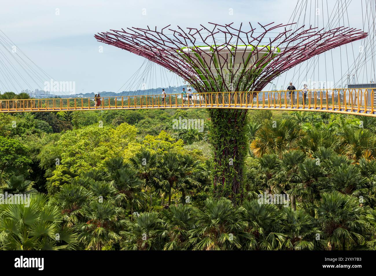 Skywalk Experience e Supertree Observatory, Gardens by the Bay, Singapore. Foto: David Rowland / One-Image.com Foto Stock