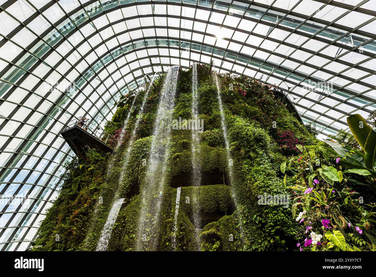 Cascata al coperto, Cloud Forest, Gardens by the Bay, Singapore, foto: David Rowland / One-Image.com Foto Stock