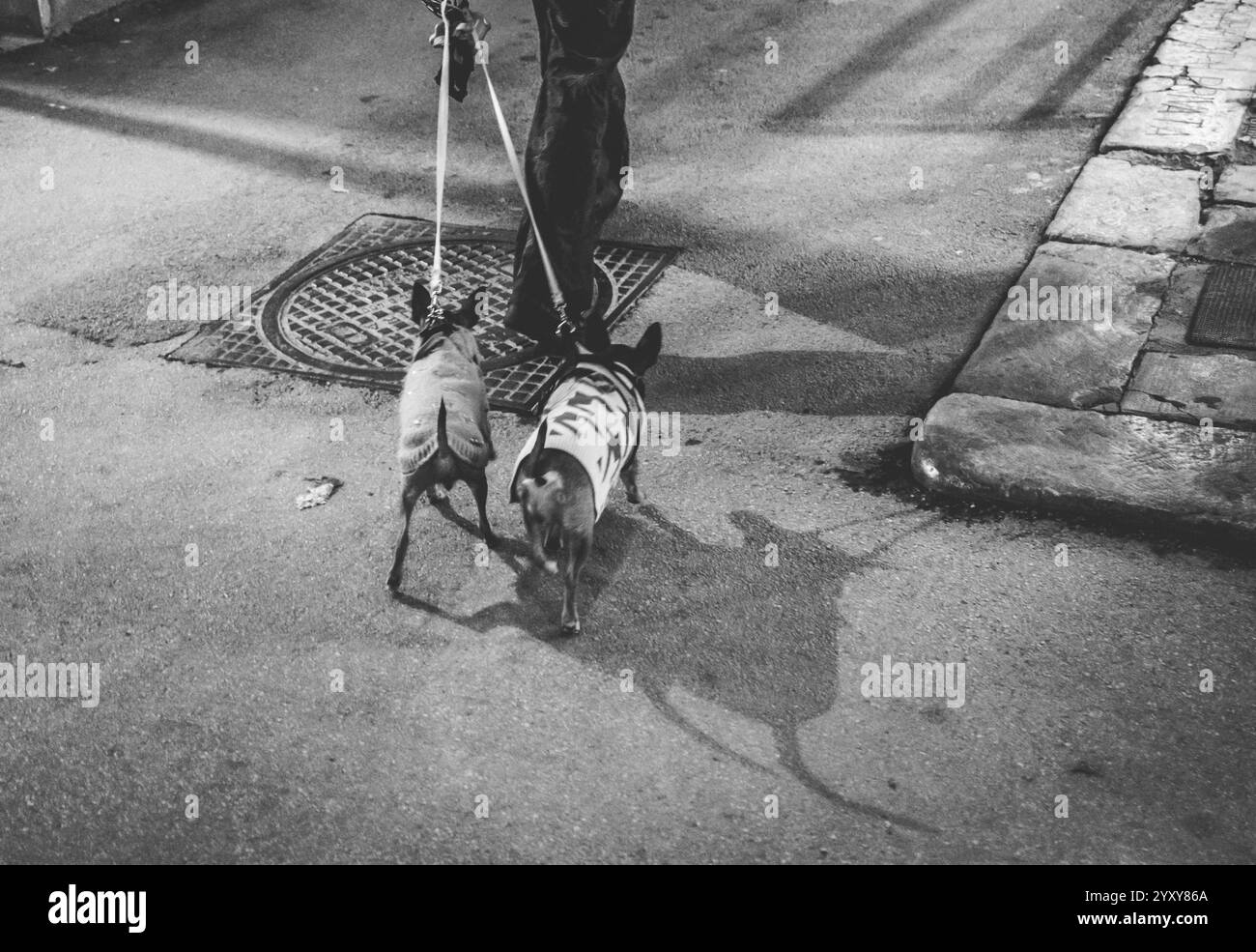 Palermo, Sicilia, 21.11.2024: Palermo, la vibrante capitale della Sicilia, è un luogo dove storia e vita moderna si fondono senza sforzo. Passeggia attraverso la B. Foto Stock