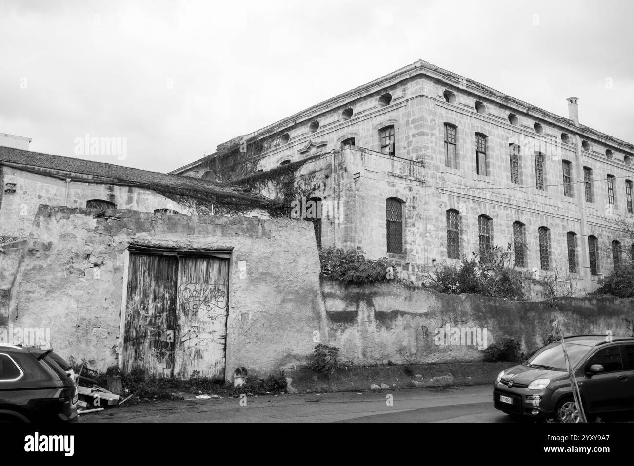 Palermo, Sicilia, 22.11.2024: Palermo, la vibrante capitale della Sicilia, è un luogo dove storia e vita moderna si fondono senza sforzo. Passeggia attraverso la B. Foto Stock