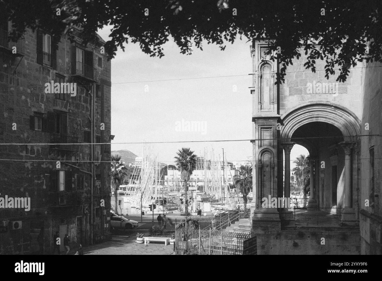 Palermo, Sicilia, 23.11.2024: Palermo, la vibrante capitale della Sicilia, è un luogo dove storia e vita moderna si fondono senza sforzo. Passeggia attraverso la B. Foto Stock