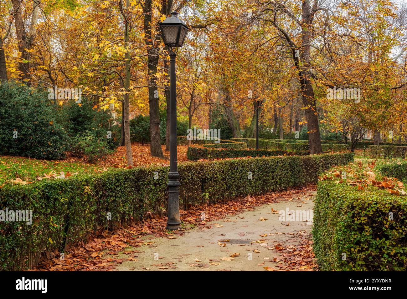 Colori autunnali nel Parco del Retiro, Madrid, Spagna Foto Stock
