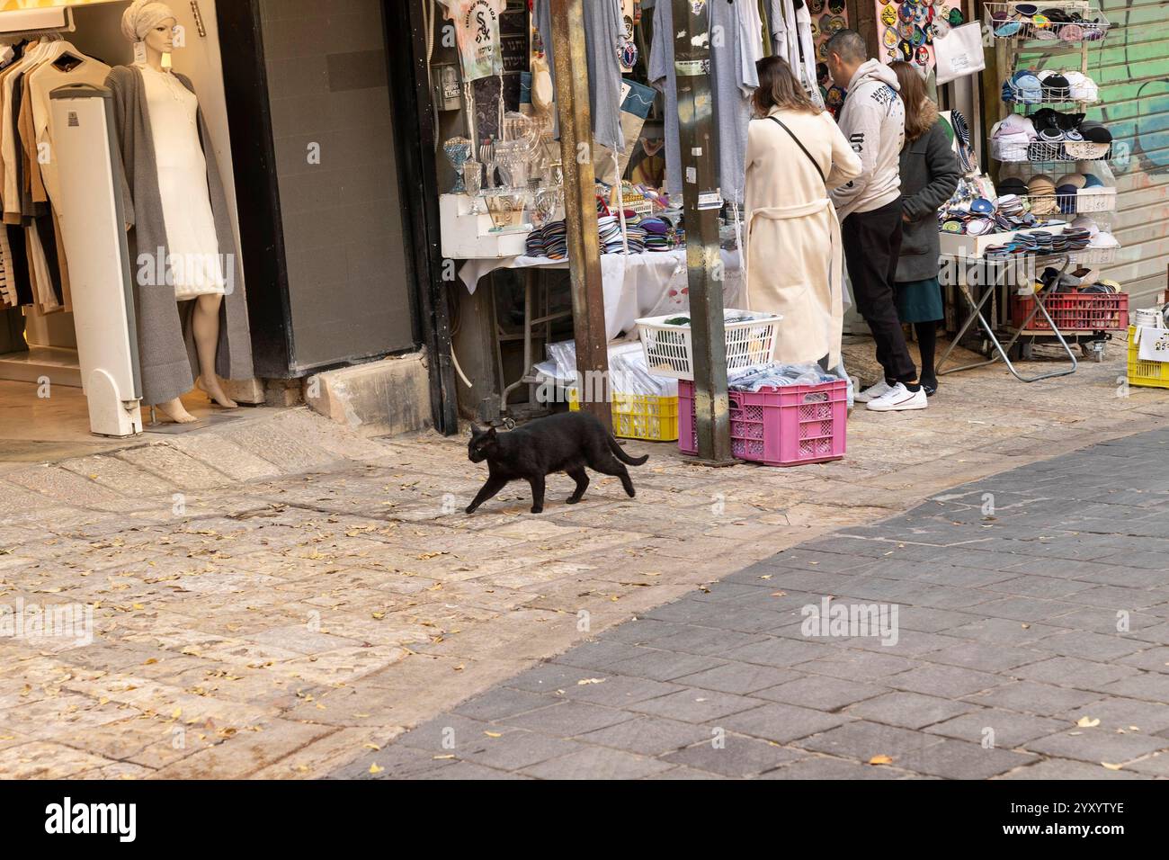 Gerusalemme, New York, Stati Uniti. 17 dicembre 2024. Un gatto, attrezzatura di tutti i giorni cammina per strada mentre la gente fa shopping a Gerusalemme, Israele il 17 dicembre 2024 (Credit Image: © Lev Radin/ZUMA Press Wire) SOLO USO EDITORIALE! Non per USO commerciale! Foto Stock