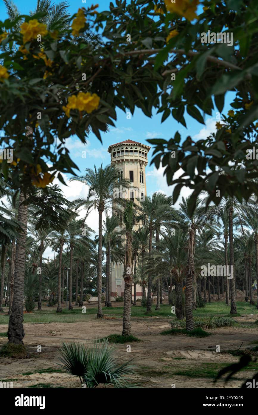 Una torre storica circondata da lussureggianti palme e vivaci fiori gialli sotto un cielo blu luminoso nei giardini del Palazzo di Montaza, Alessandria, Egitto. Foto Stock