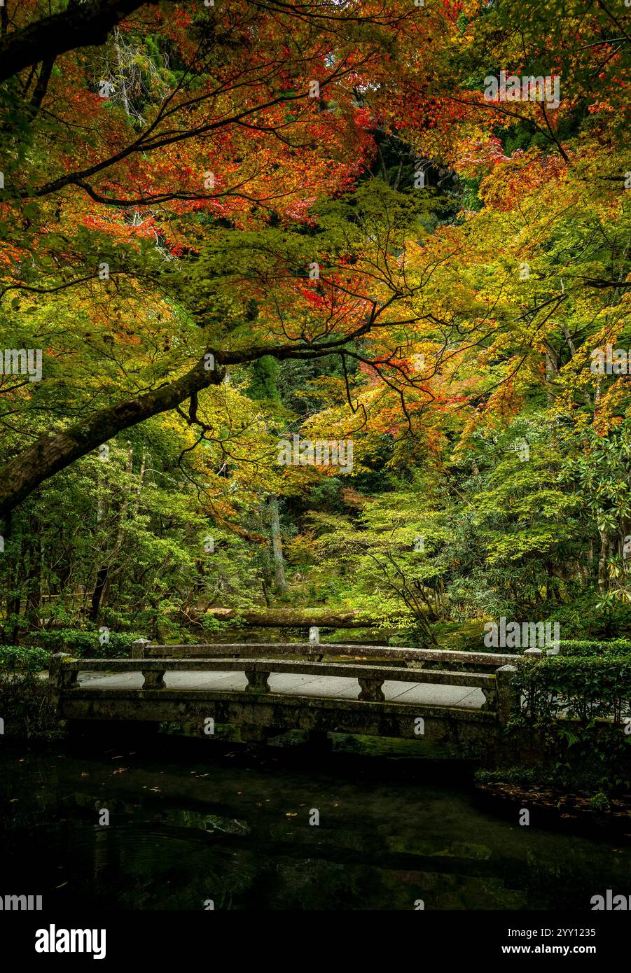 Ponte e alberi al tempio di Honen-in a Kyoto in Giappone Foto Stock