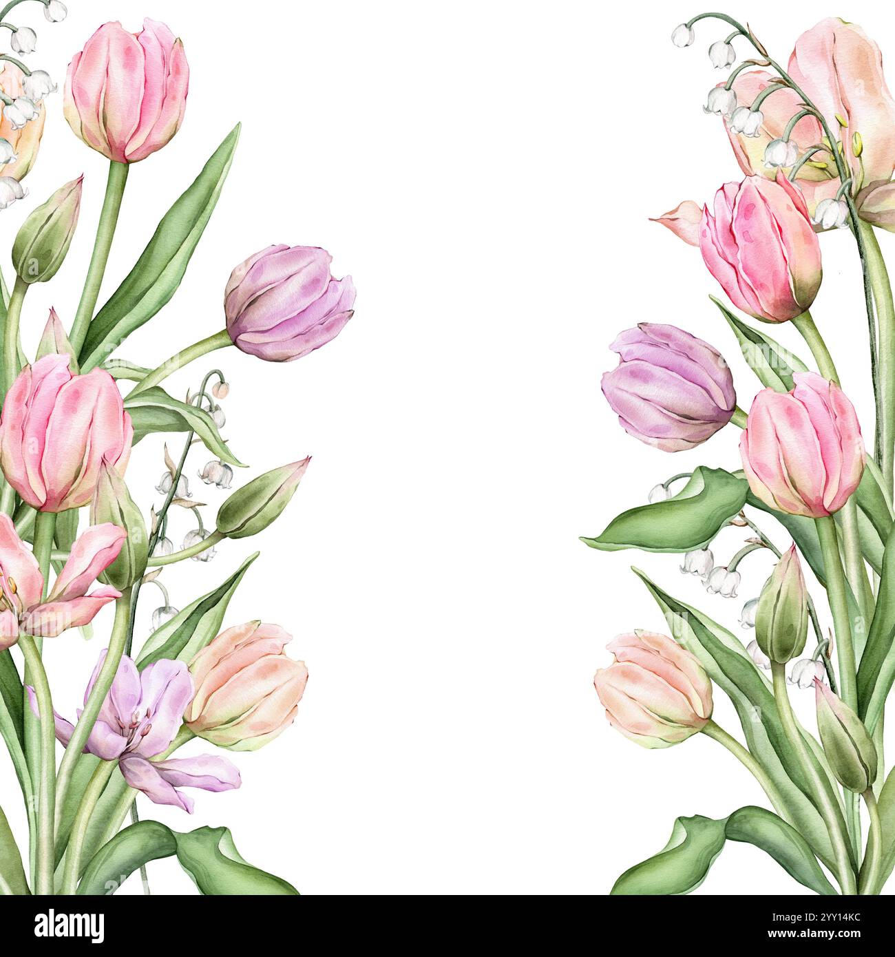 Cornice quadrata con tulipani color rosa pastello giallo chiaro e giglio bianco della valle. Illustrazione ad acquerello disegnata a mano delicata perenne bulbosa Foto Stock
