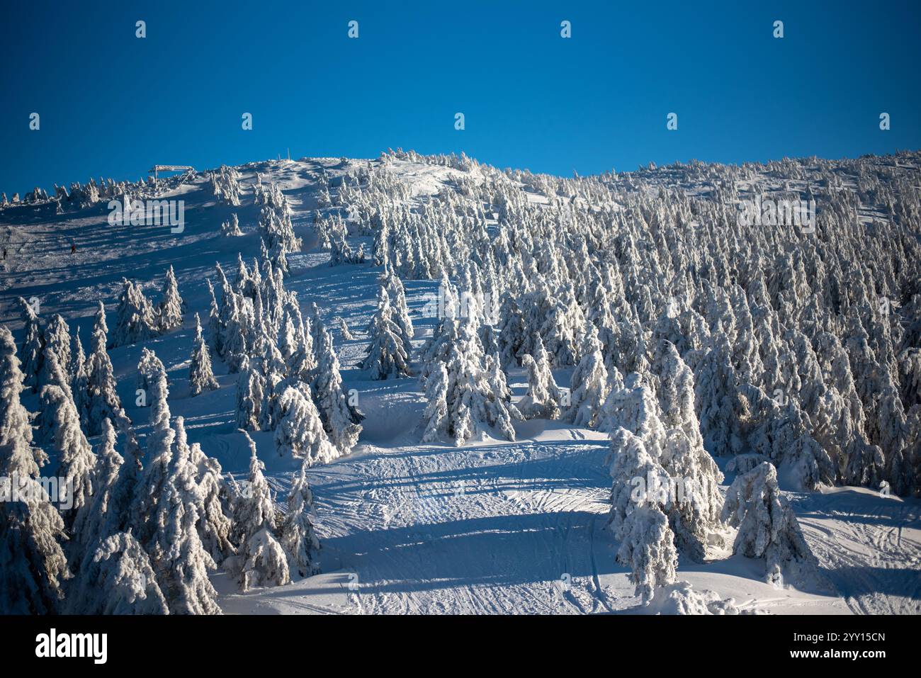 La stazione sciistica di Pilsko, situata al confine tra Slovenia e Polonia, offre piste panoramiche e viste panoramiche Foto Stock