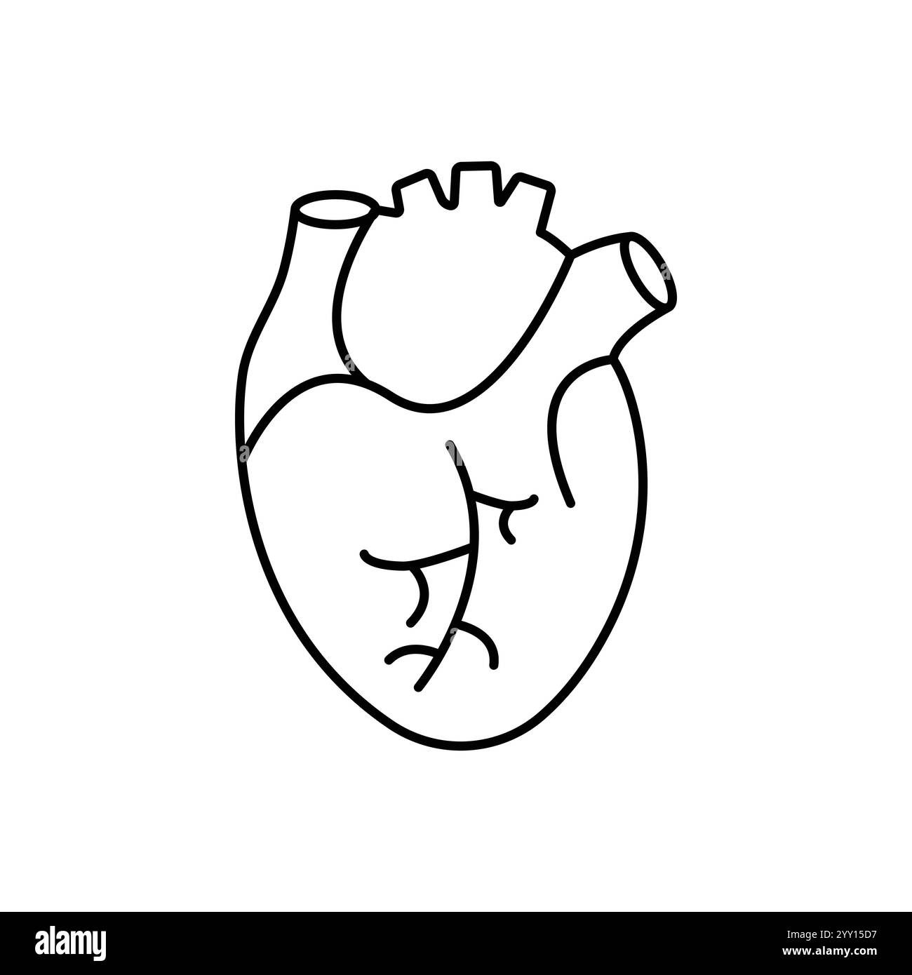 Icona della linea piatta del cuore. Pittogramma vettoriale sottile dell'organo umano interno, illustrazione di contorno per la clinica di cardiologia. Illustrazione Vettoriale