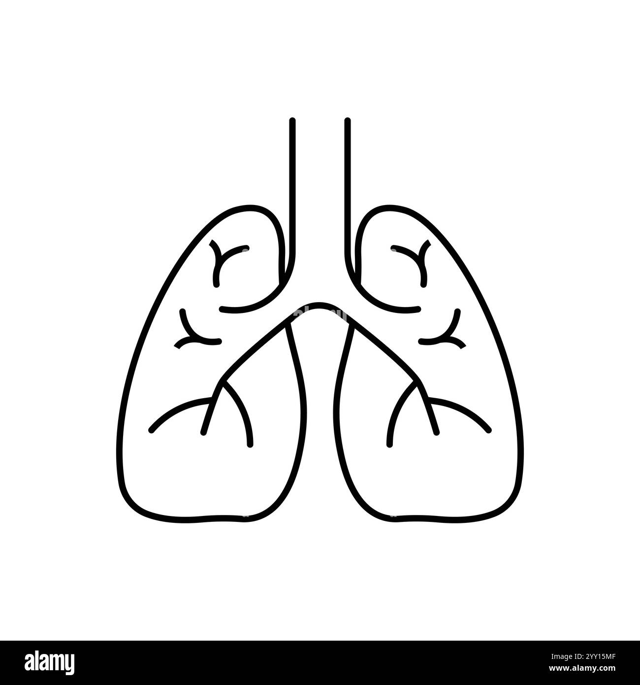Icona linea piatta polmoni. Pittogramma vettoriale sottile di organo interno umano, illustrazione di contorno per clinica polmonare. Illustrazione Vettoriale