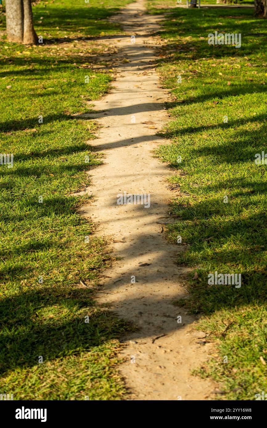 Percorso in un giardino Foto Stock