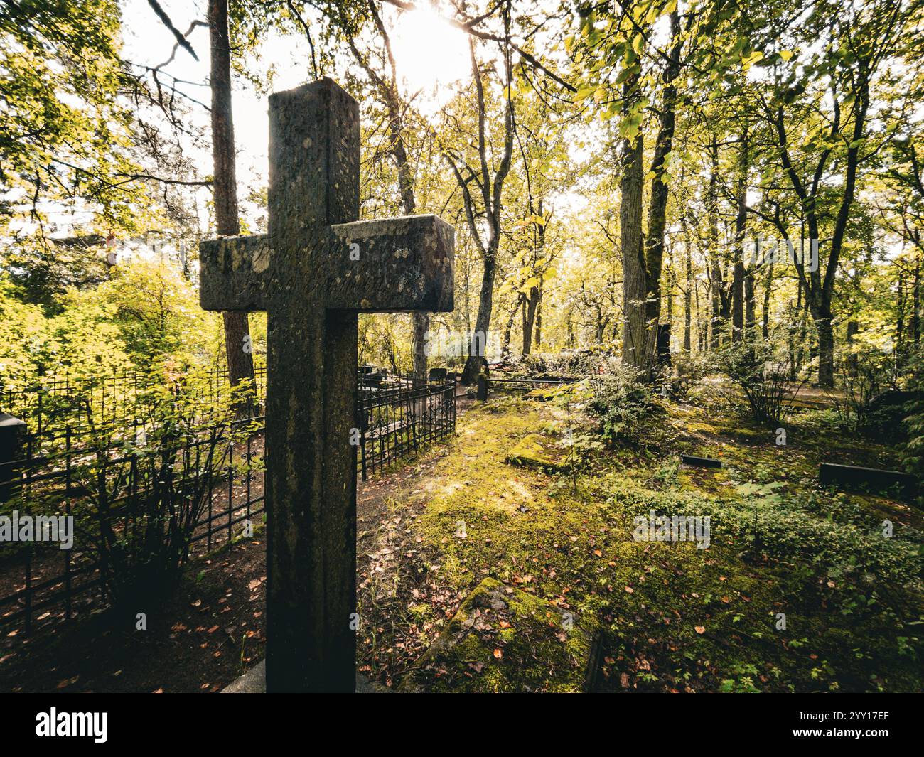 Un tranquillo e sereno cimitero è splendidamente incorniciato da una vegetazione lussureggiante e dalla luce del sole che filtra tra gli alberi Foto Stock
