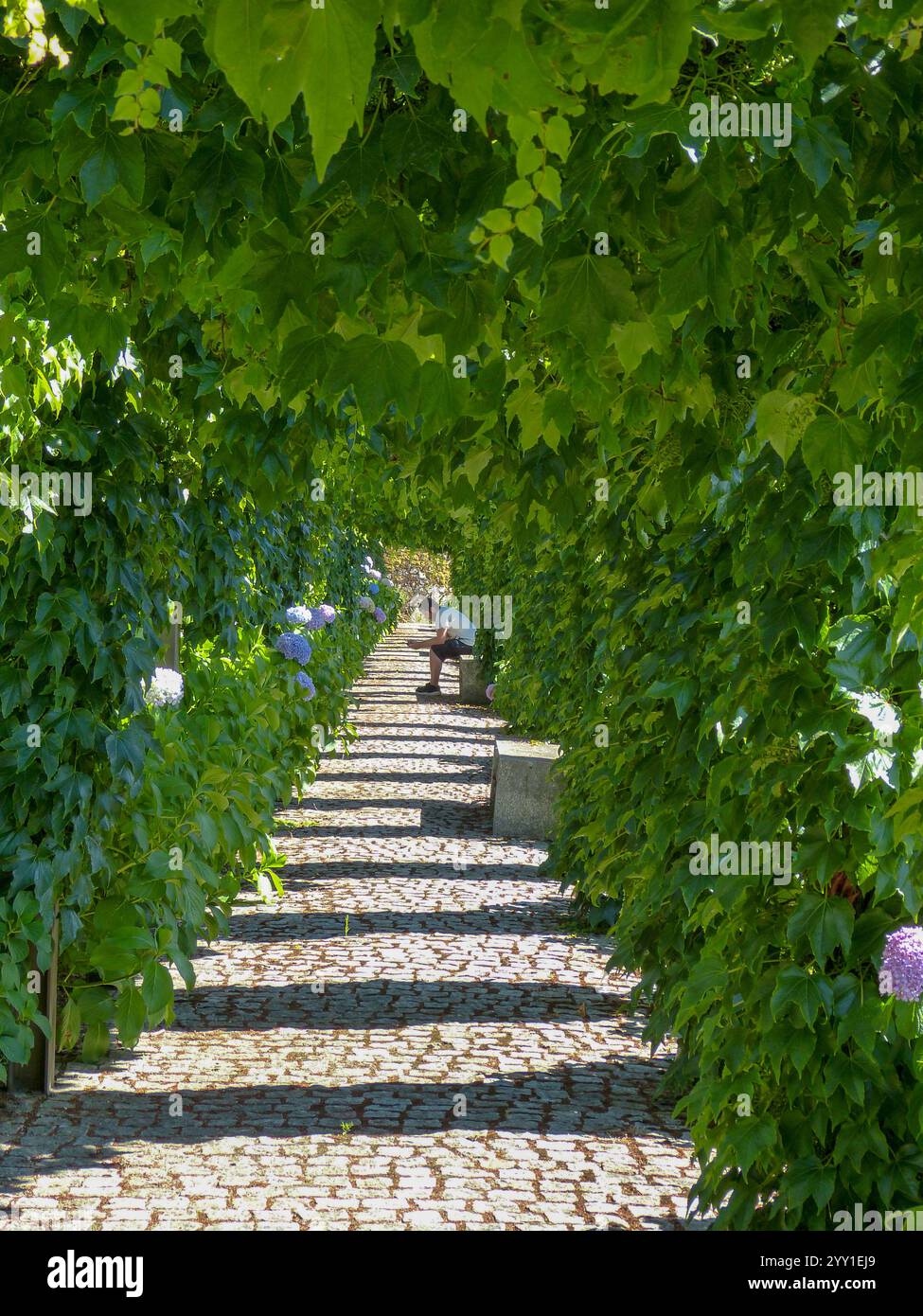 Interno del giardino Inatel nella località mediavale portoghese di Linhares da Beira, comune di Celorico da Beira-Portugal. Foto Stock