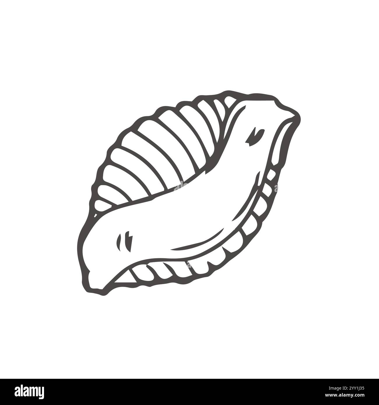 Pasta Conchiglie schizzo rigato. Illustrazione del vettore alimentare italiano. Stile doodle vintage disegnato a mano. Icona di cottura con linea nera, sfondo bianco isolato. Oppure Illustrazione Vettoriale