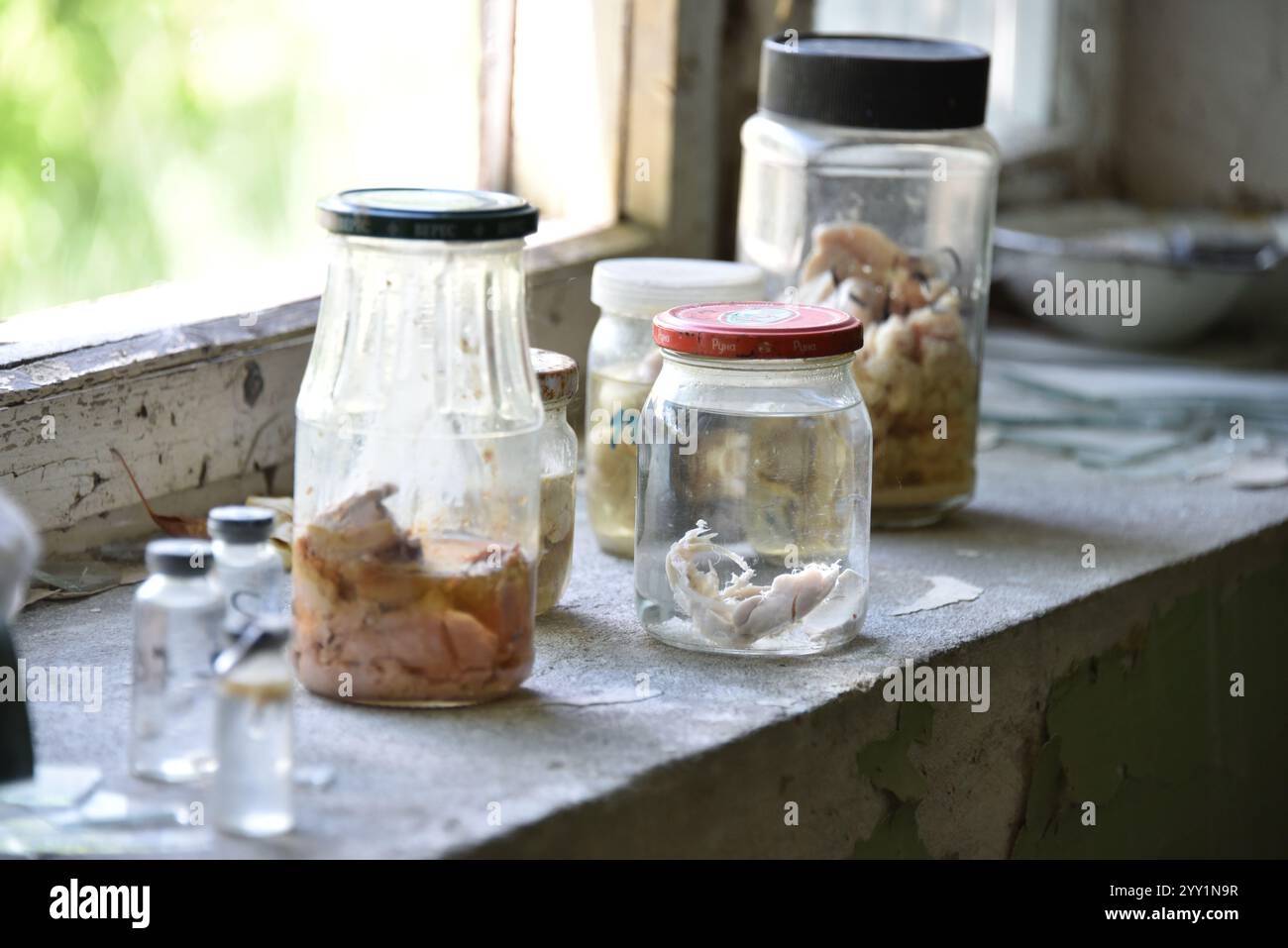 Chernobyl Zona di esclusione, Ucraina Foto Stock