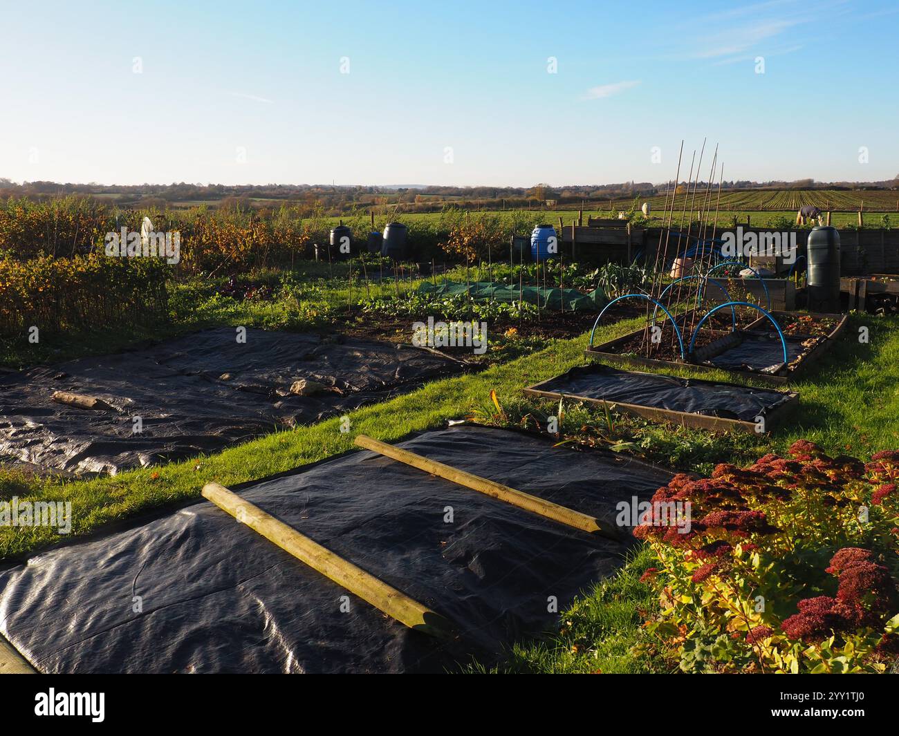 In inverno, Forest, Hill, Oxford, Regno Unito Foto Stock