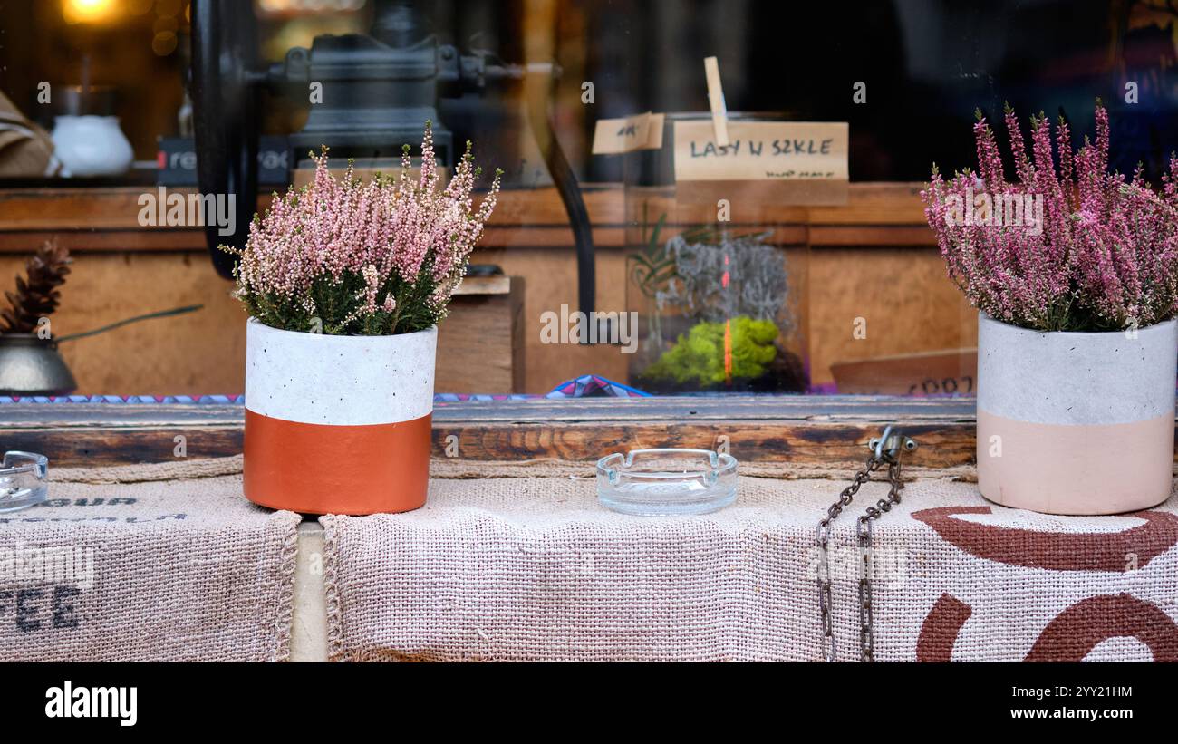 Colorate piante in vaso adornano la vetrina di un pittoresco negozio, creando un'atmosfera invitante. Tessuti naturali e decorazioni autunnali aggiungono calore e fascino Foto Stock