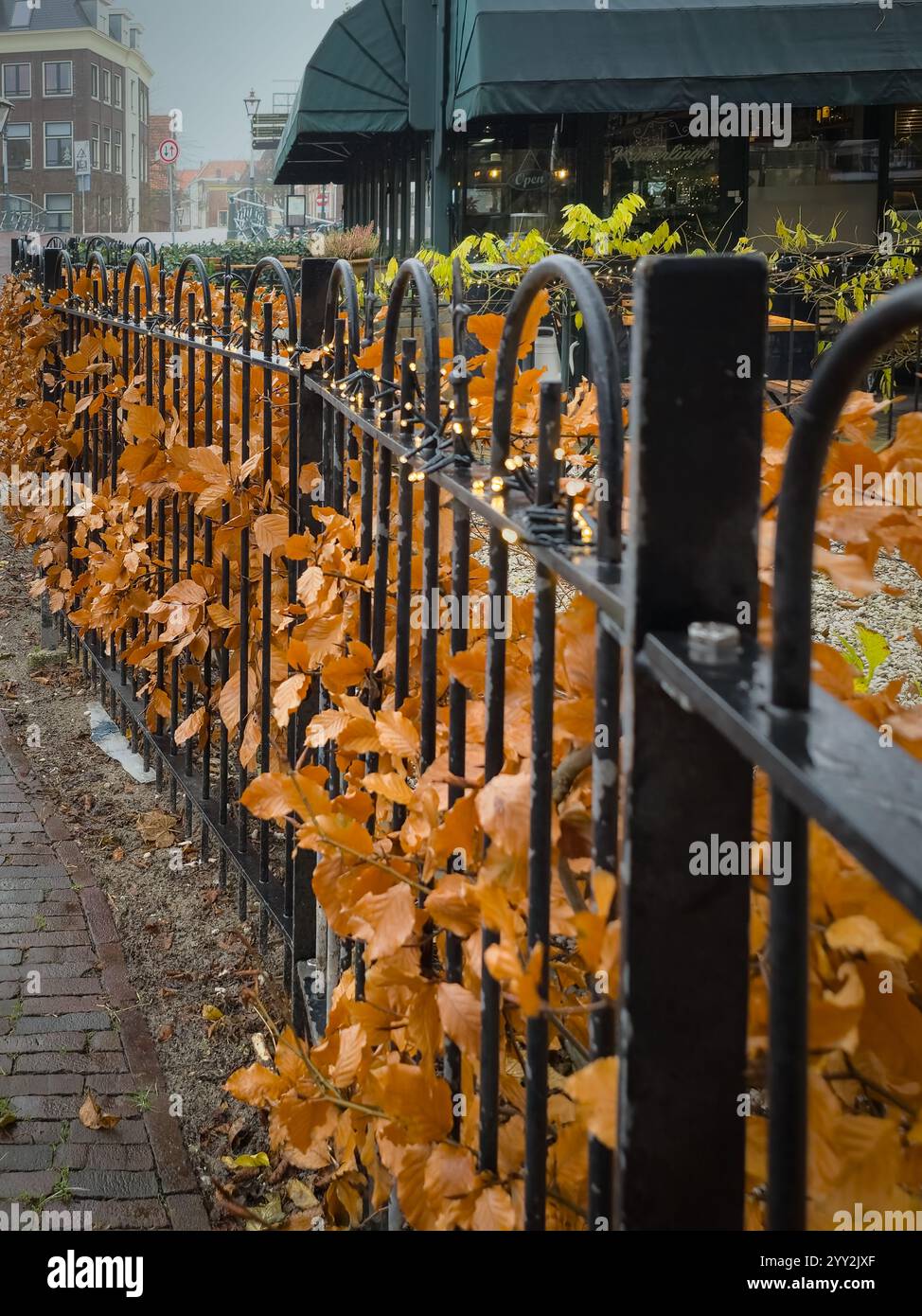 Una recinzione in metallo nero adornata da vivaci foglie d'autunno arancioni delinea un marciapiede in mattoni. Sullo sfondo, un edificio con tende verdi e una grande vittoria Foto Stock