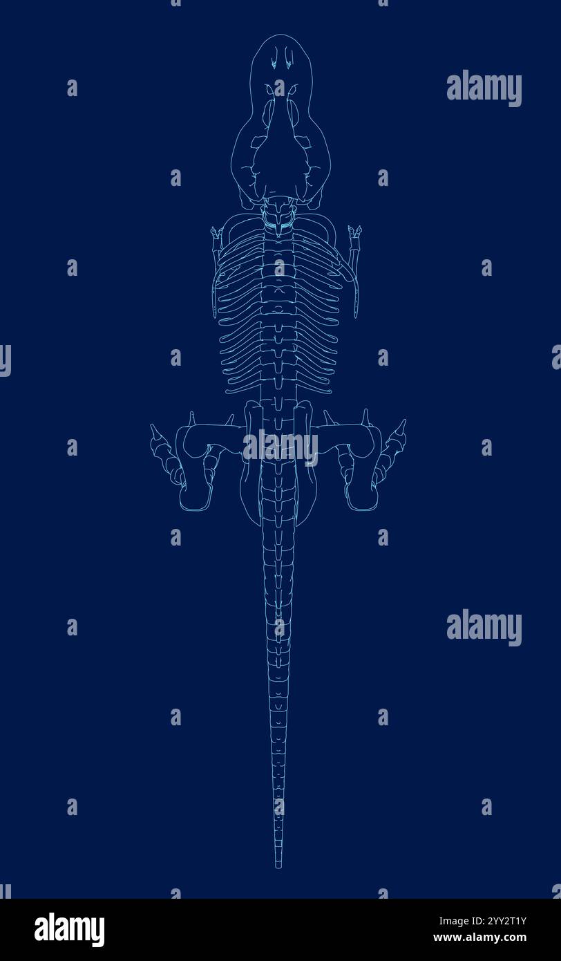 Profilo del dinosauro Tyrannosaurus rex o t rex isolato su blu. Illustrazione vettoriale stile contorno. Vista dall'alto Illustrazione Vettoriale