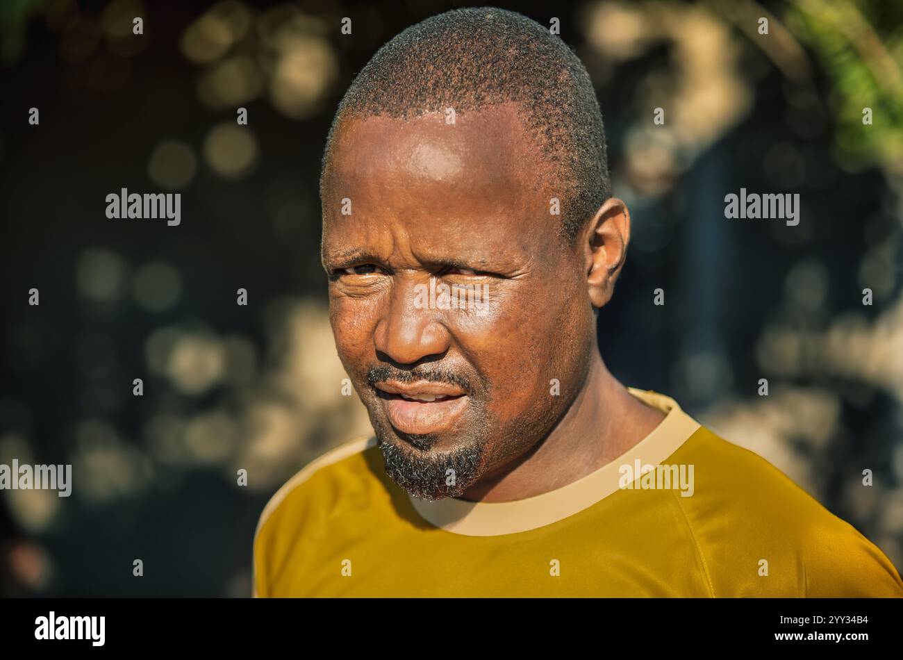 Ritratto alla testa di un singolo uomo africano all'aperto, in una giornata di sole, Sud Africa e Botswana Foto Stock