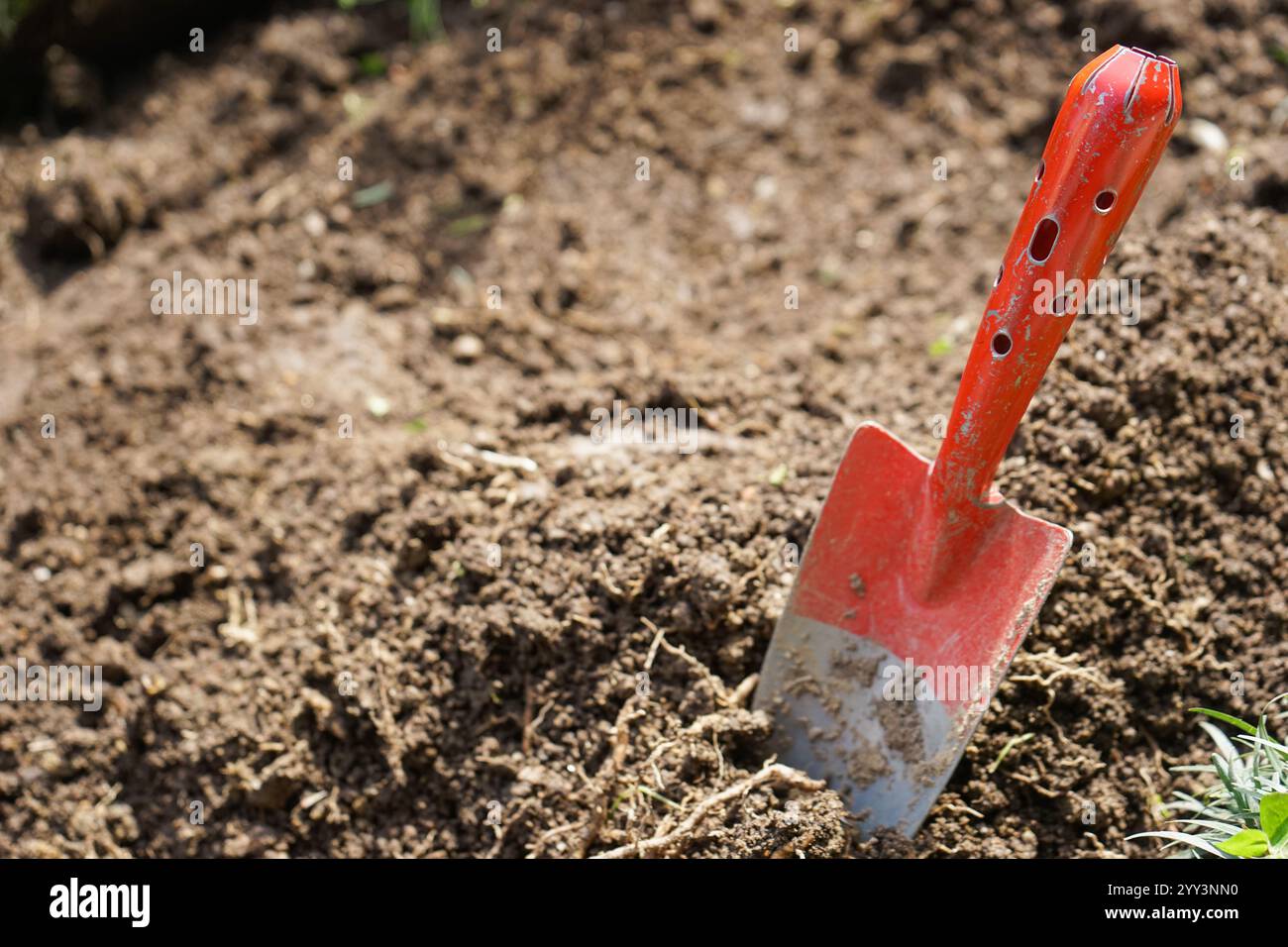 Giardinaggio Foto Stock