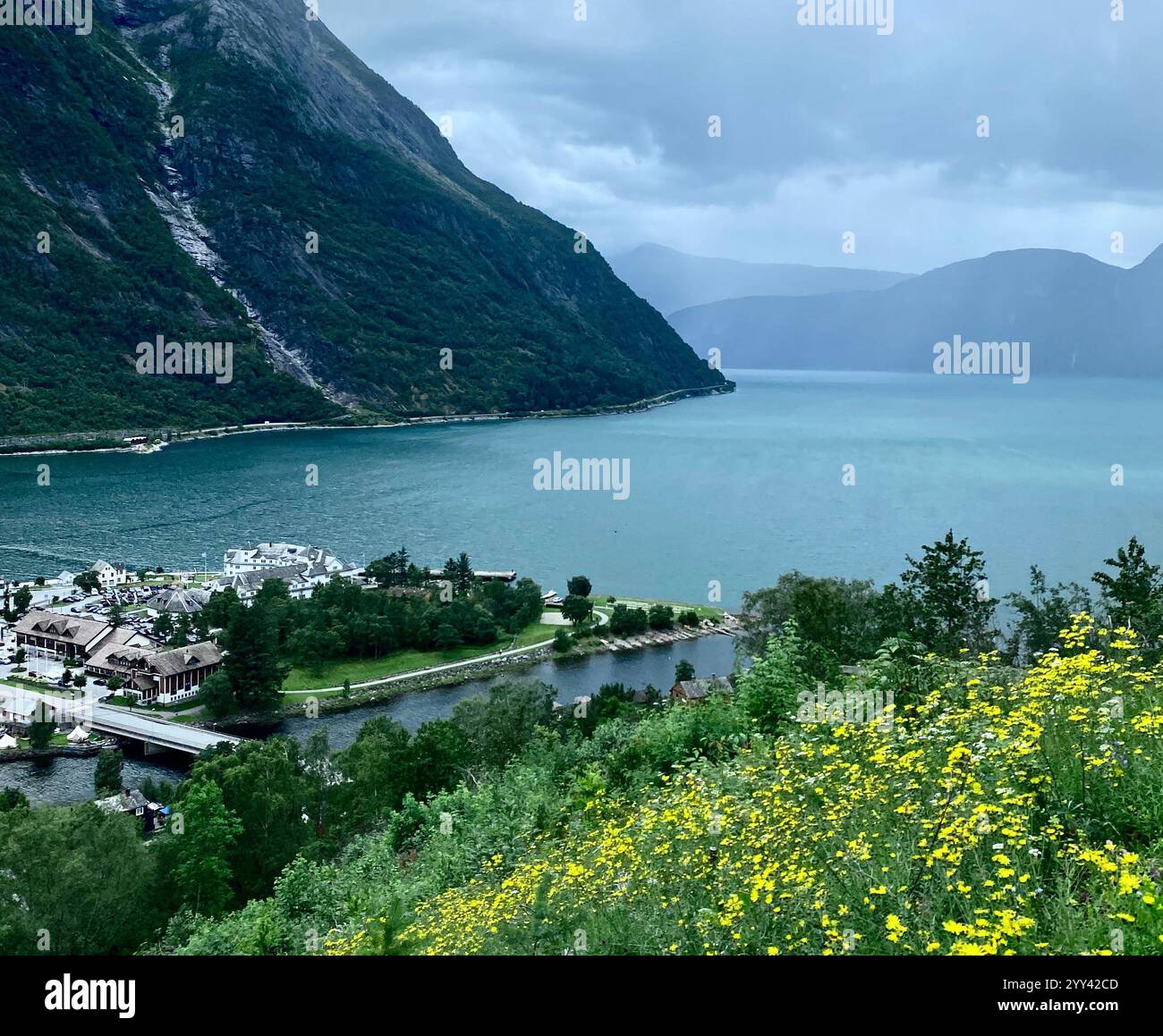 Panoramica Fjorde in Norvegia Foto Stock