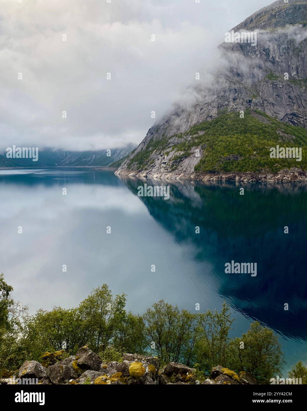 Panoramica Fjorde in Norvegia Foto Stock