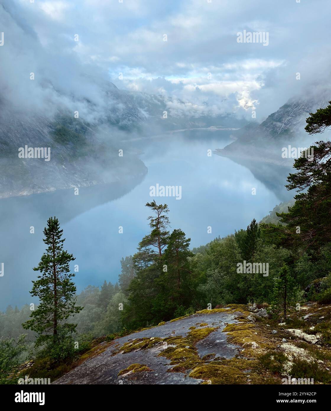 Panoramica Fjorde in Norvegia Foto Stock