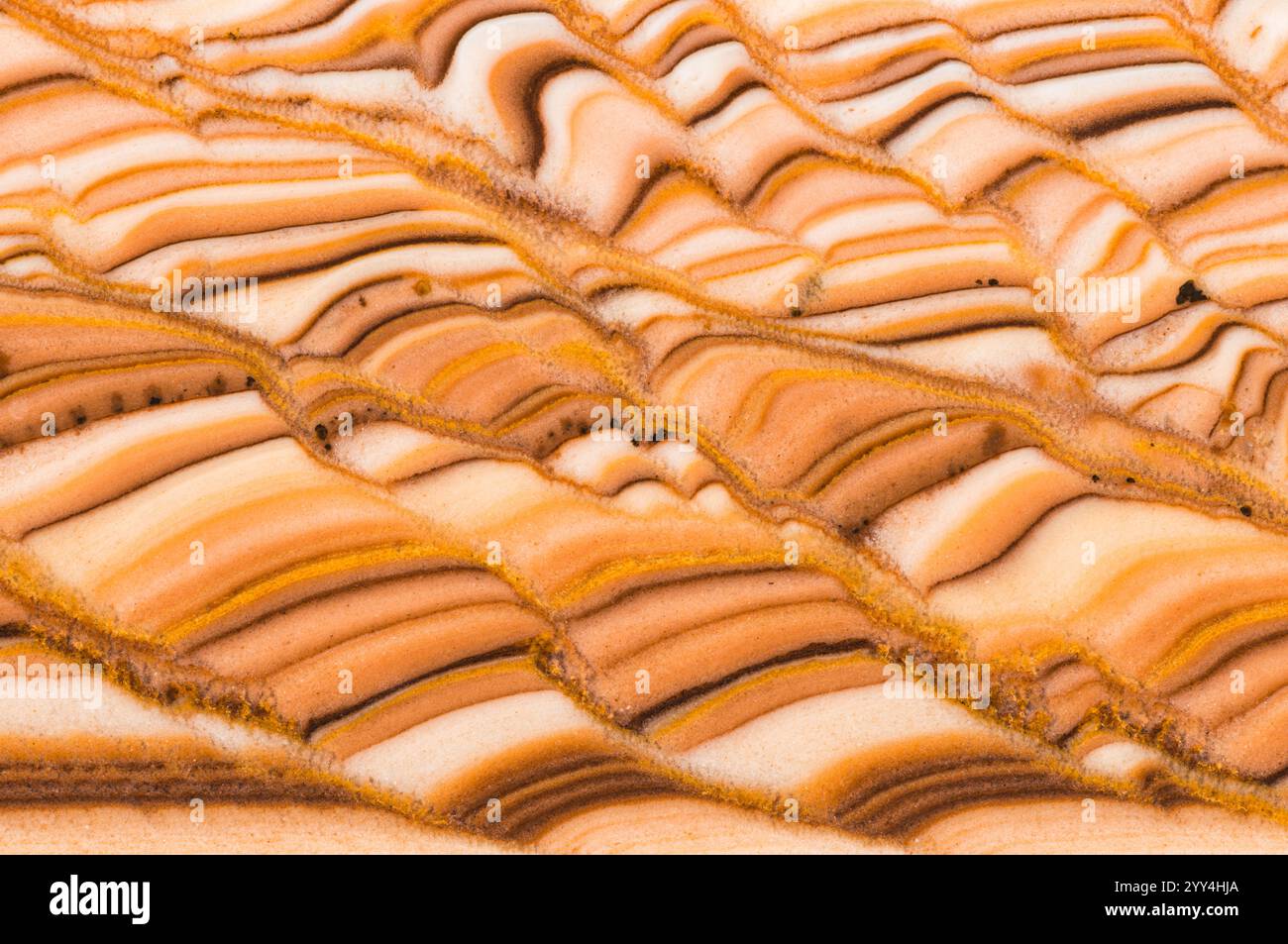 Immagine ravvicinata che mostra gli intricati motivi di una dolomite Rolling Hills affettata e lucida di Chihuahua, Messico, con calde tonalità di terra. Foto Stock