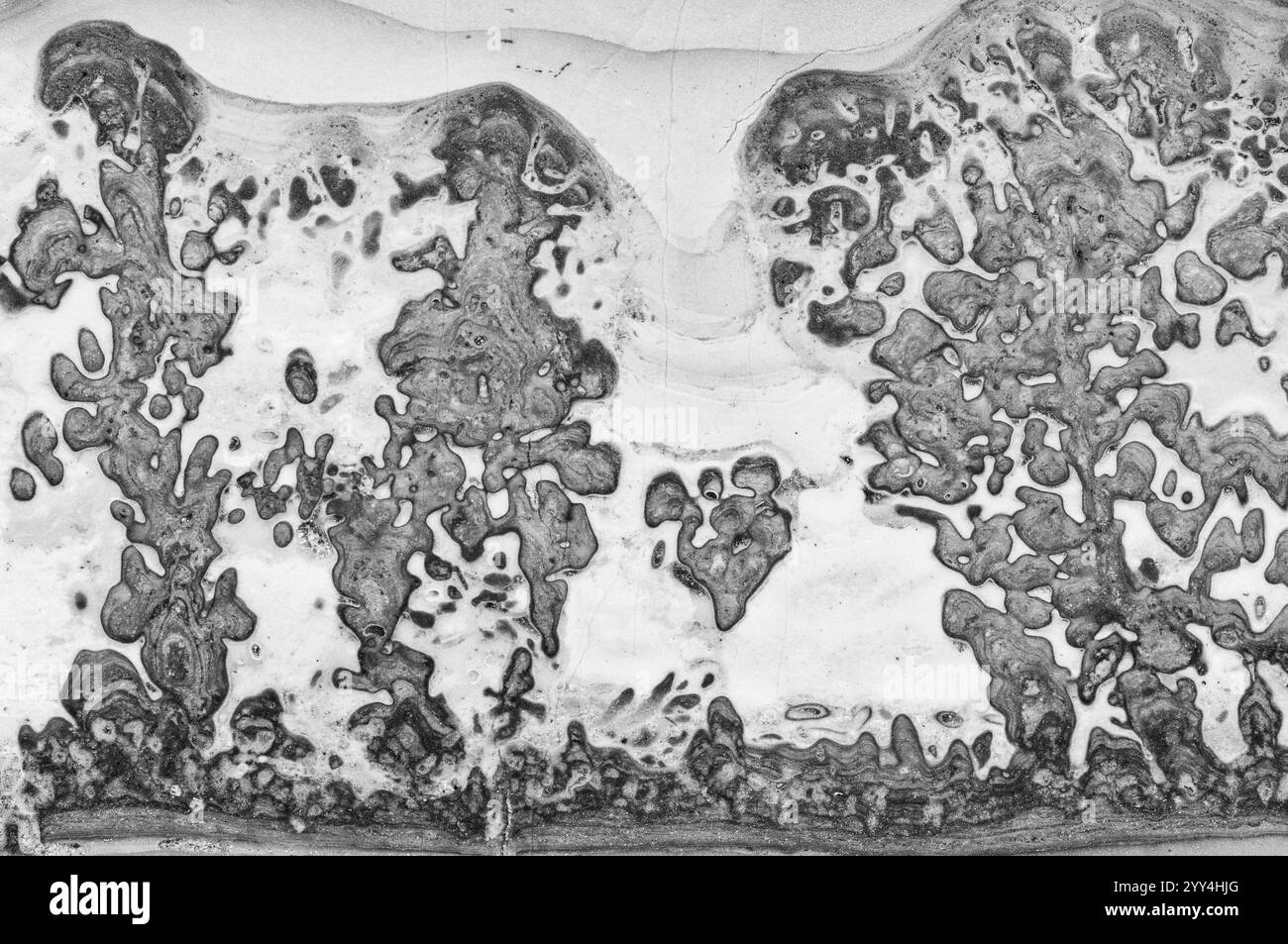 Immagine microscopica ad alta risoluzione che mostra pattern complessi nel tessuto osseo. Il design astratto in scala di grigi evidenzia forme e trame organiche in Foto Stock