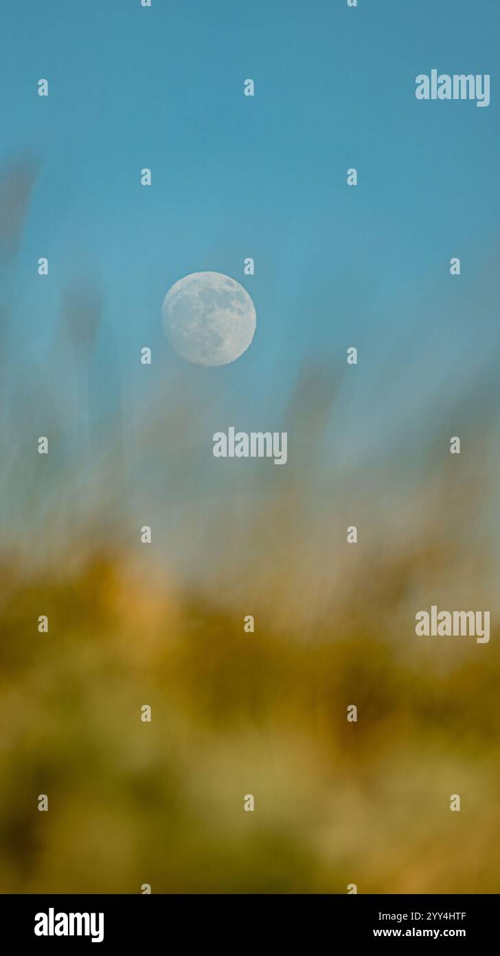 Una scena tranquilla con una chiara vista della luna che sorge su uno sfondo fogliame sfocato, catturata a Yvoire, in Francia, che mostra la tranquilla momen della natura Foto Stock
