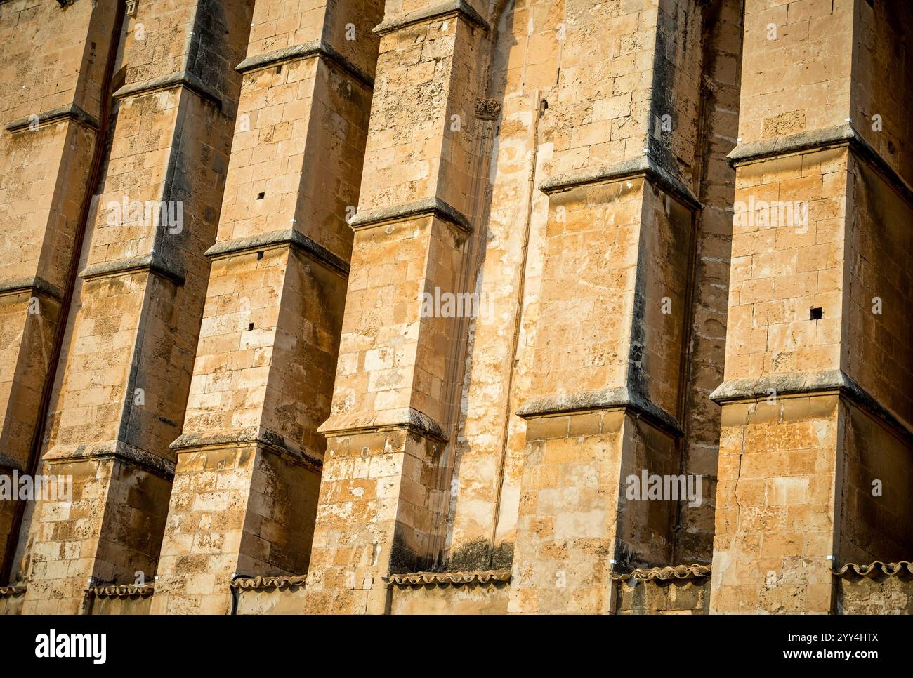 Vista ravvicinata della facciata in pietra strutturata della storica cattedrale di Palma, che mostra la sua antica bellezza e i dettagli architettonici. Foto Stock