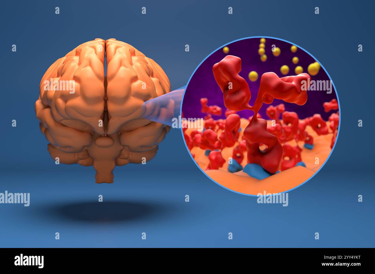Giunzione neuromuscolare nella miastenia grave - Vista isometrica illustrazione 3d. Foto Stock