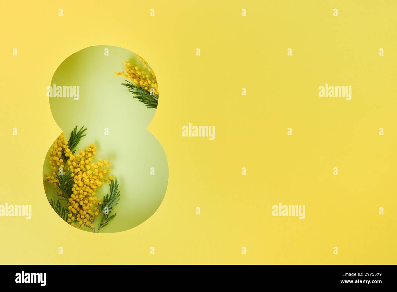 Biglietto d'auguri dell'8 marzo. Taglio di carta otto in fondo giallo e bouquet di fiori primaverili freschi di mimosa gialla. Biglietto d'auguri per la Festa delle donne in ma Foto Stock