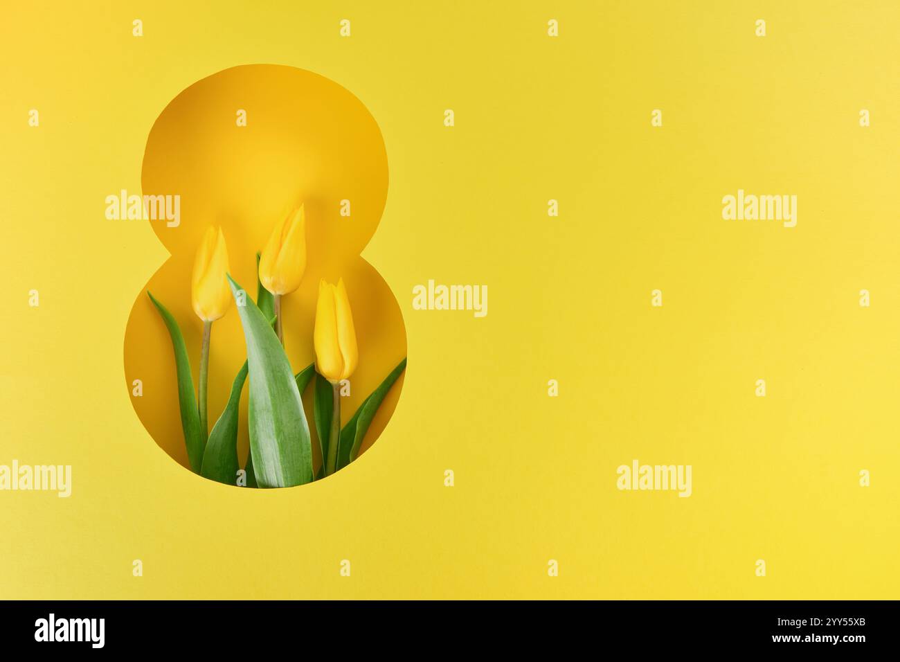 Biglietto d'auguri dell'8 marzo. Otto fogli tagliati in carta di fondo giallo e bouquet di fiori freschi di tulipani gialli. Biglietto d'auguri per la Festa della donna di ma Foto Stock