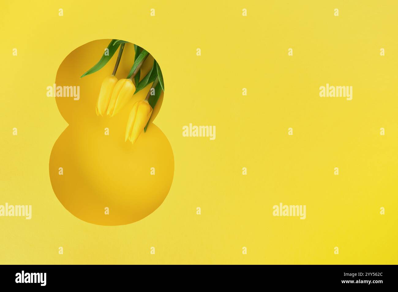 Biglietto d'auguri dell'8 marzo. Otto fogli tagliati in carta di fondo giallo e bouquet di fiori freschi di tulipani gialli. Biglietto d'auguri per la Festa della donna di ma Foto Stock