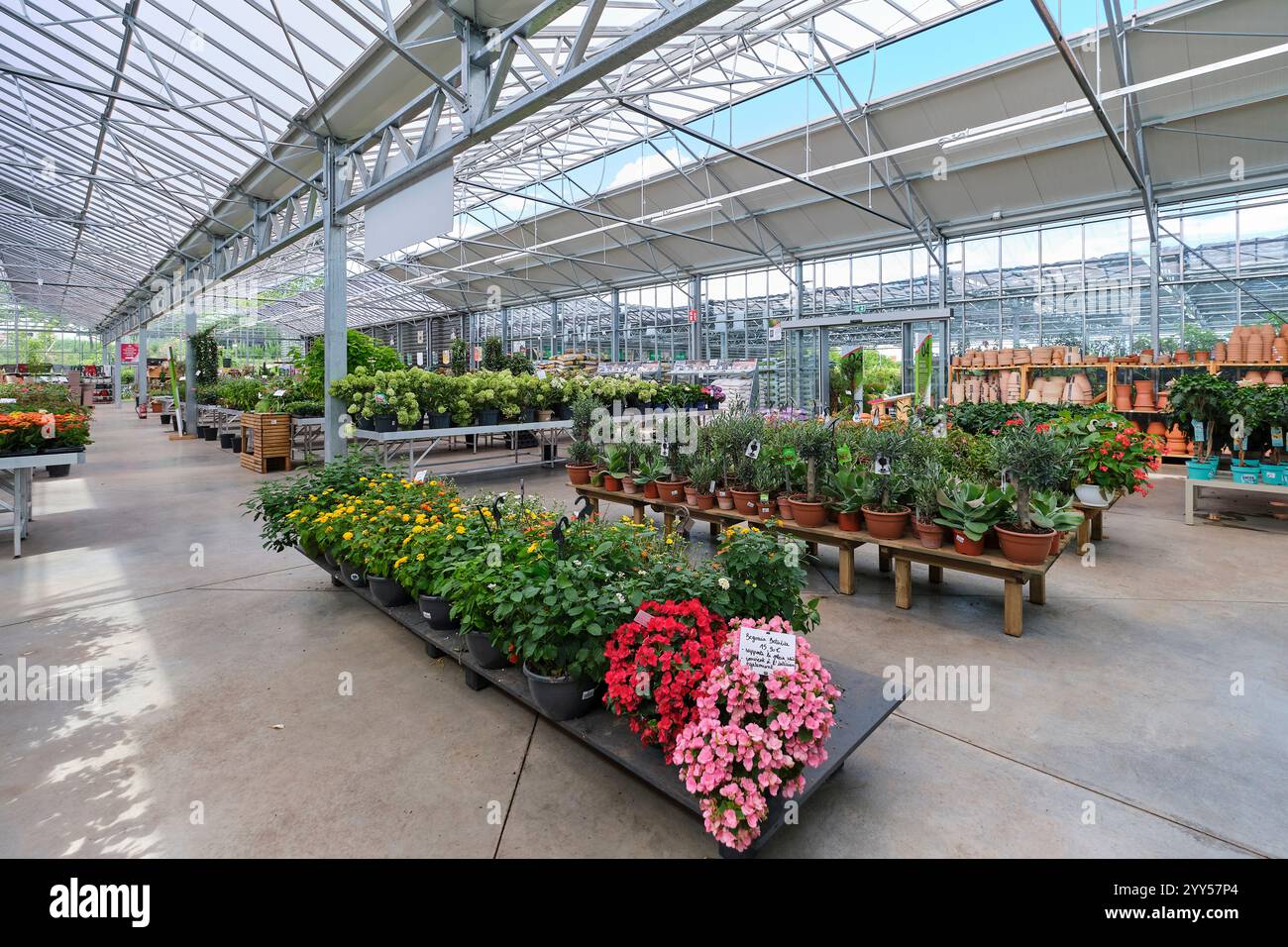 Gleizé (Francia centro-orientale): Fiori e piante in vendita a Serres Caladoises Foto Stock