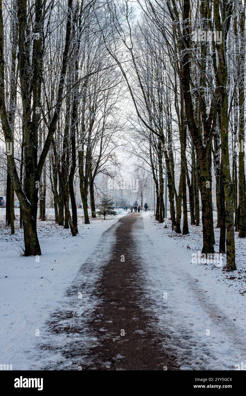 Un tranquillo scenario invernale caratterizzato da un sentiero che si snoda attraverso una tranquilla foresta innevata. Alberi senza foglie lungo il percorso, creando un tranquillo e pictu Foto Stock