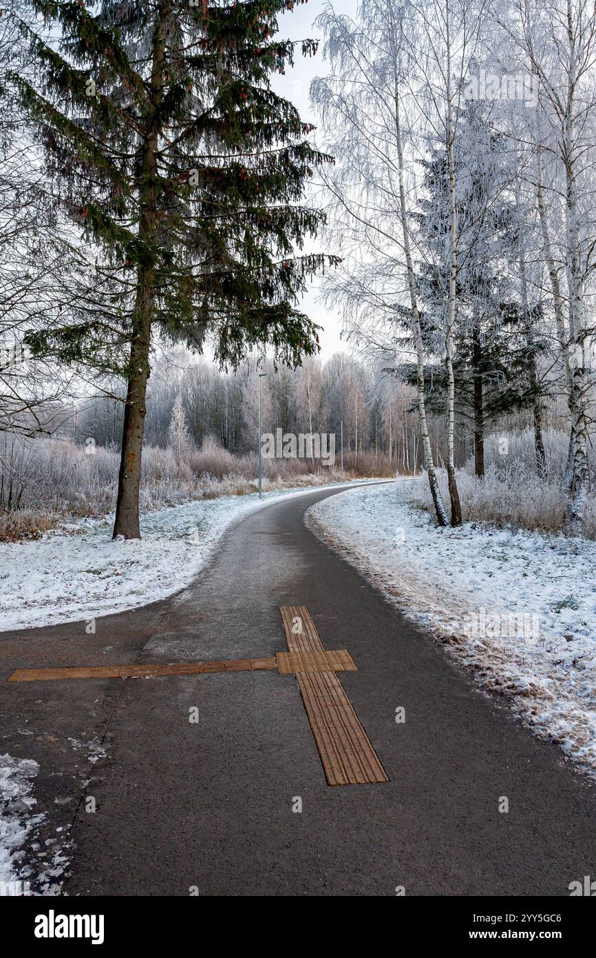 Un tranquillo sentiero innevato si snoda attraverso una foresta invernale ghiacciata, delimitata da alti alberi. Foto Stock