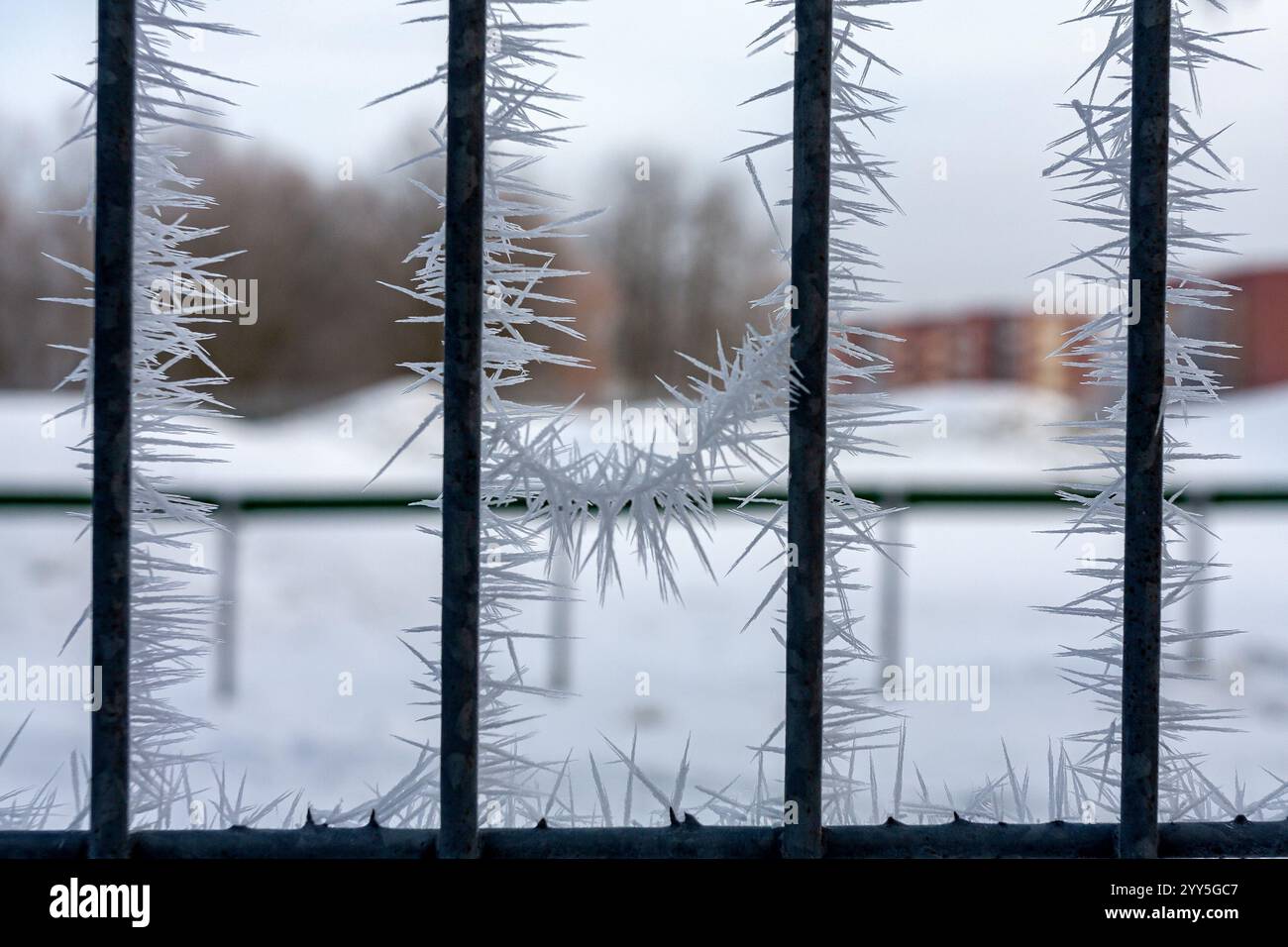 Barre metalliche ricoperte di ghiaccio che rivelano formazioni di ghiaccio, evidenziano la bellezza della stagione fredda e i dettagli intricati. Foto Stock