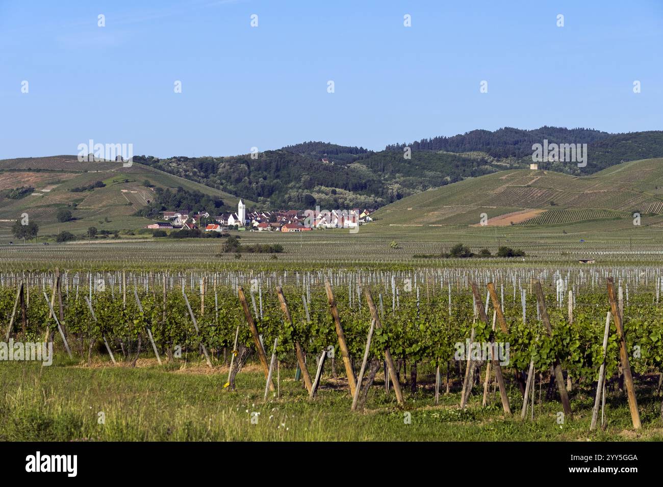 Vigneti e villaggi lungo la strada del vino in Alsazia. Haut-Rhin, Francia Foto Stock