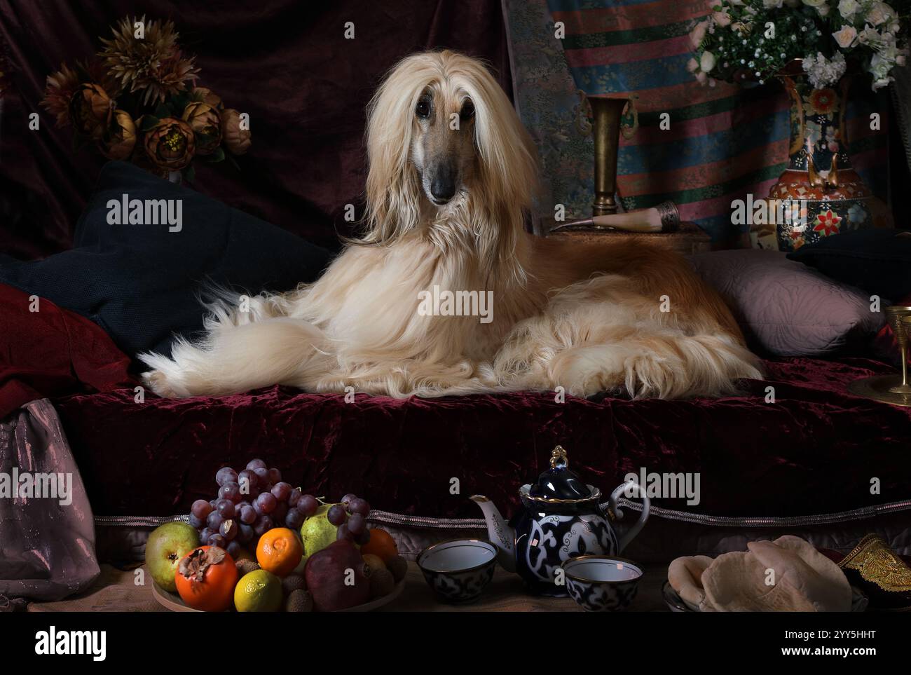 Cane da cani afghani nell'interno in stile arabo con fiori e frutta Foto Stock