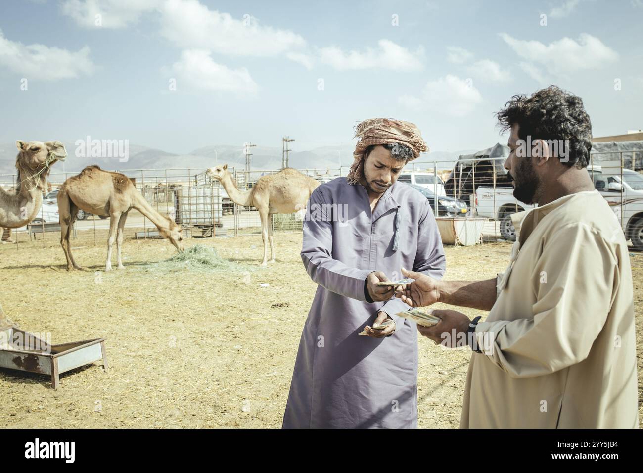 Rivenditore di cammelli con cliente, suk di cammelli Salalah, Dhofar, Oman, Asia Foto Stock