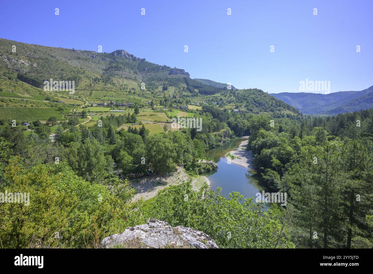 Vista sul fiume Tarn, Gorges du Tarn Causses, dipartimento Lozere, Francia, Europa Foto Stock